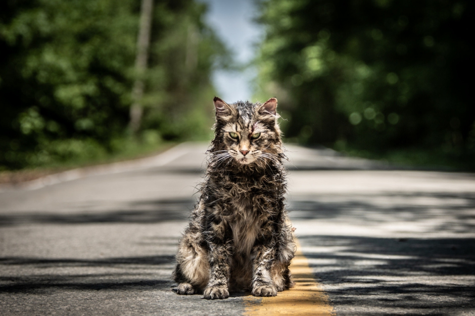 Кадр из фильма «Кладбище домашних животных». Фото с сайта www.kinopoisk.ru