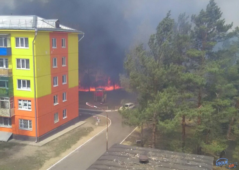 Сгорел дачный поселок под Усольем. Фото usolie-citi.ru