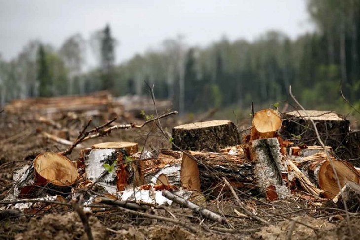 Фото с сайта vsluh.ru
