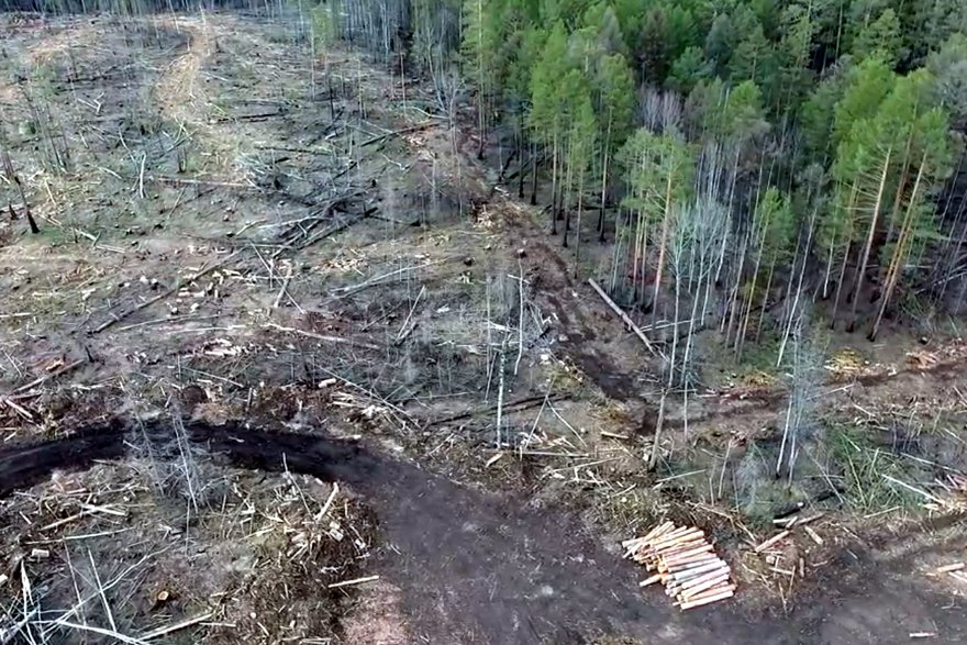 Туколонь. Фото предоставлено пресс-службой Байкальской межрегиональной природоохранной прокуратуры Туколонь. Фото предоставлено пресс-службой Байкальской межрегиональной природоохранной прокуратуры
