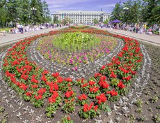 В 2019 году на городские клумбы высадили 550 тысяч цветов.