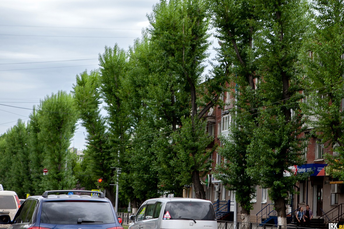 Вид тополей на улице Декабрьских Событий, которые несколько лет назад тоже обрезали почти подчистую, внушает надежду, что деревья на улице Карла Маркса снова станут красивыми