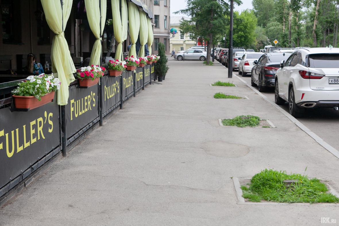 На бульваре Гагарина так и не посадили новые деревья