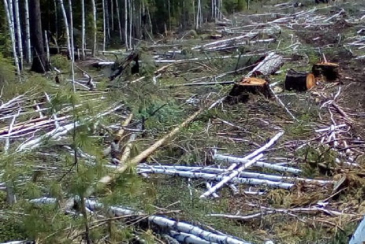 Фото пресс-службы Байкальской межрегиональной природоохранной прокуратуры