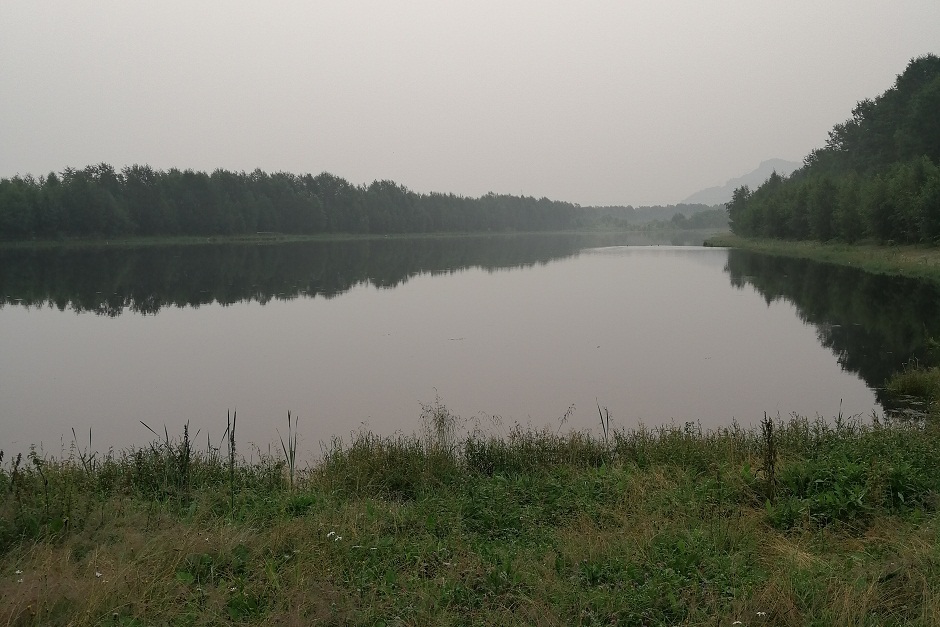 Карта № 1, нетронутая экспериментом. Фото предоставлено Александром Сутуриным