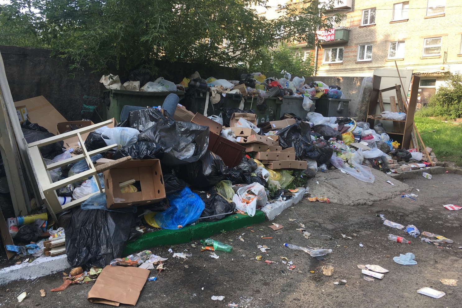 На Грибоедова, 65 мусор не вывозят с прошлой недели, пишет иркутянка Дарья Швецова.