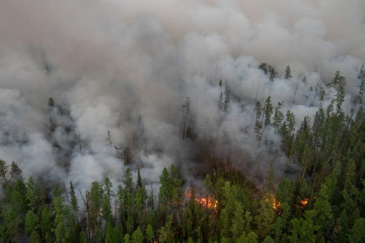 Фото с сайта nsk-news24.ru