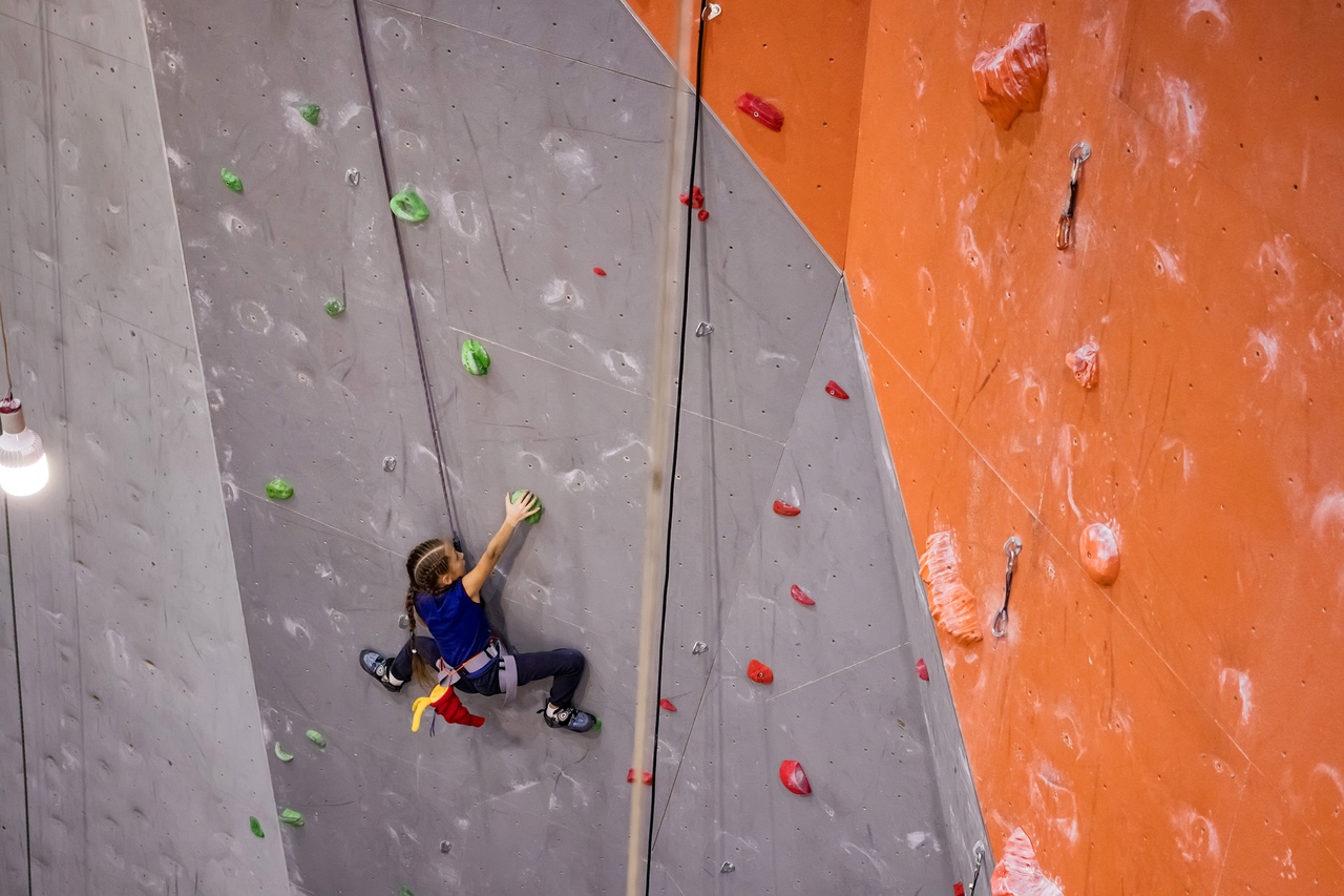 Фото предоставлено  «Панорамой»