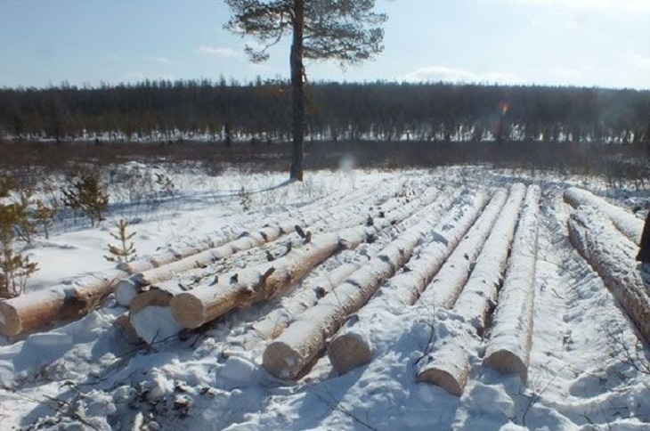 Фото с сайта nexplorer.ru
