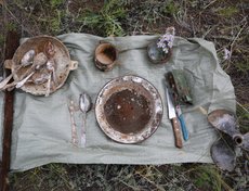 Находки волонтёров