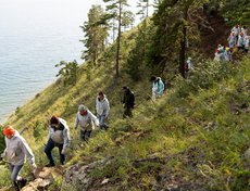 Волонтёры построили 210 метров новой экотропы и реконструировали 330 метров существующей.