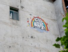 Стена на Байкальской, 243
