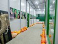 Сейчас коридоры нового зоопарка завалены овощами — подарками от иркутских организаций и неравнодушных горожан. Новоселье новосельем, а зима близко.