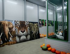Картины из старого зоопарка также перевезли. Они украсят стены и смягчат индустриально-павильонный стиль здания.