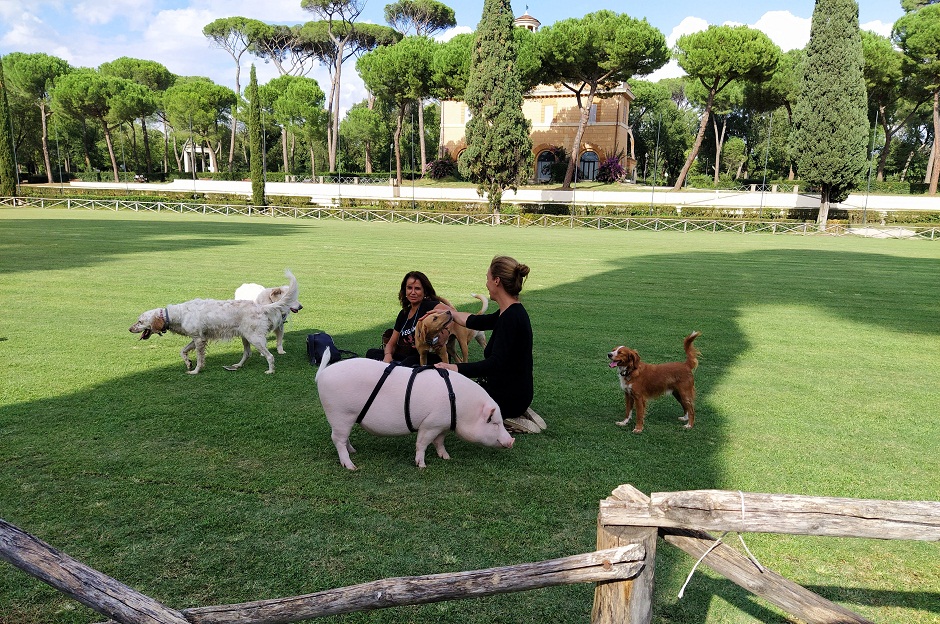 В одном из парков Рима