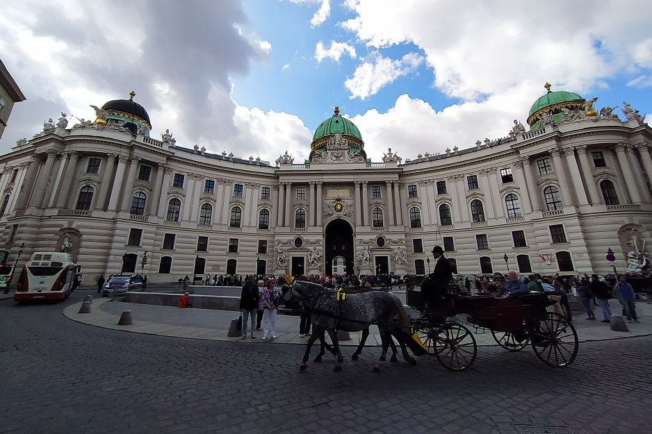 Пересадка в Вене