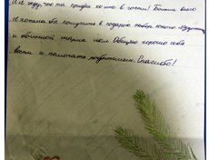 Лиза Яровая