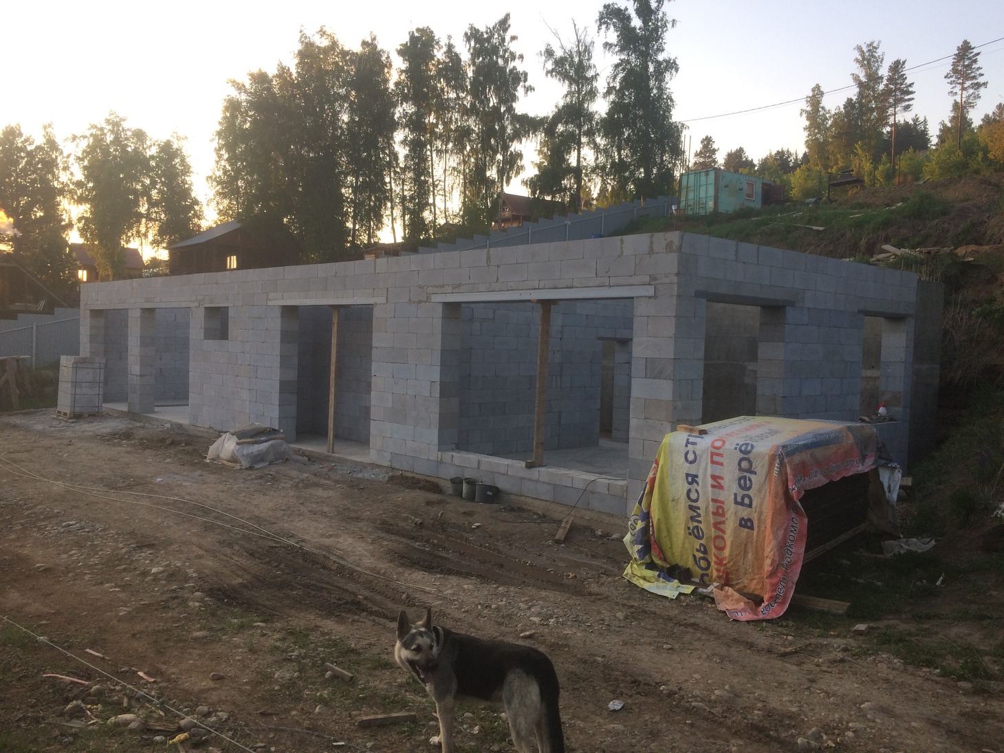 Новый член семьи