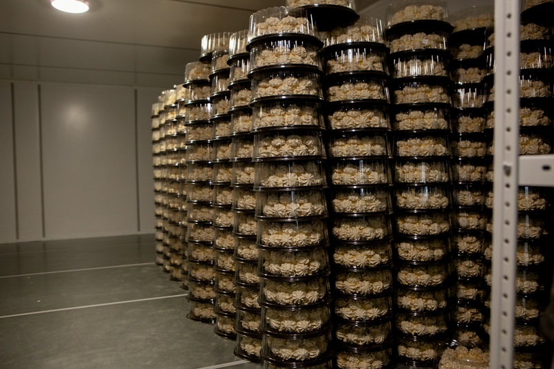 Кто-нибудь видел столько «Полетов» сразу?