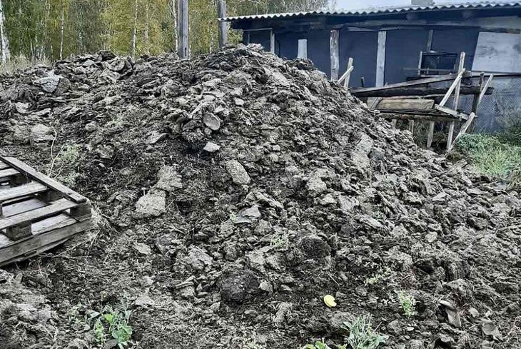 Фото пресс-службы Байкальской межрегиональной природоохранной прокуратуры