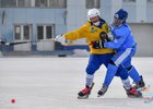 Хоккеисты Монголии и Сомали. Фото Татьяны Глюк с официального сайта чемпионата мира по хоккею с мячом 2020