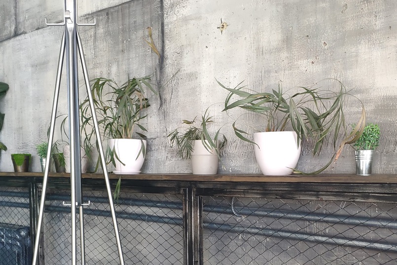 Цветы очень жаль…