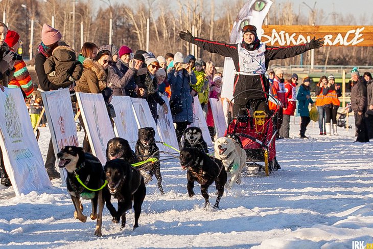 Гонки на собачьих упряжках в 2019 году. Фото Анастасии Влади, IRK.ru
