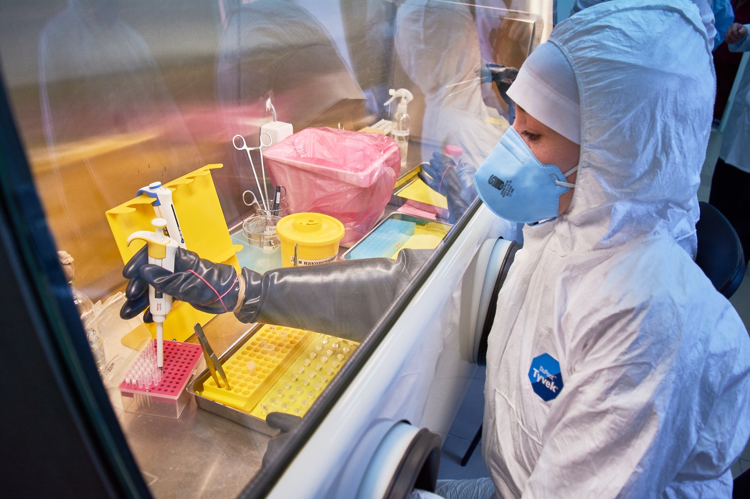 Исследование выполняется методом ПЦР (полимеразной цепной реакции)