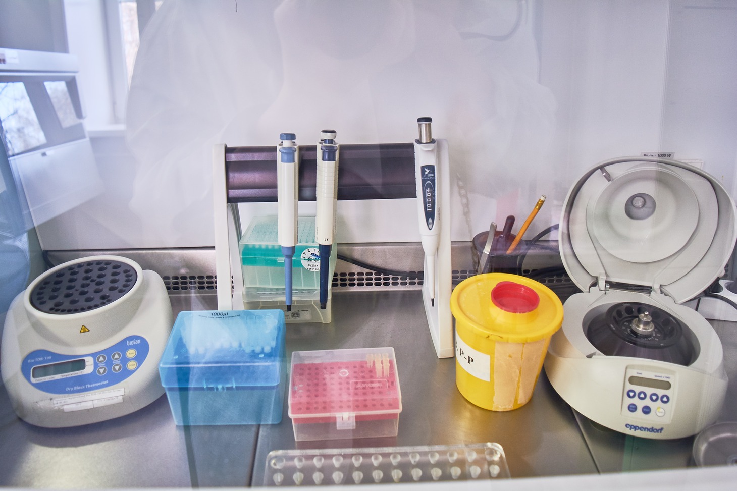 Результаты анализов, сделанных в институте, не отличаются от тех, которые делают в Новосибирске