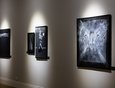 На выставке представлена загадочная черно-белая серия «Нарративы». При ее создании, кроме акриловых и масляных красок, художник использовал черную гелевую ручку и белый фломастер.