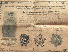 Благодарность за отличные боевые действия по ликвидации группы немецких войск.