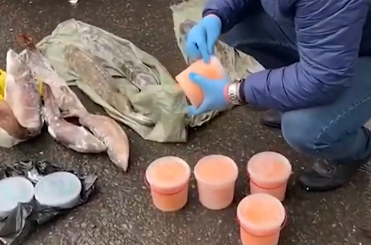 Скриншот видео