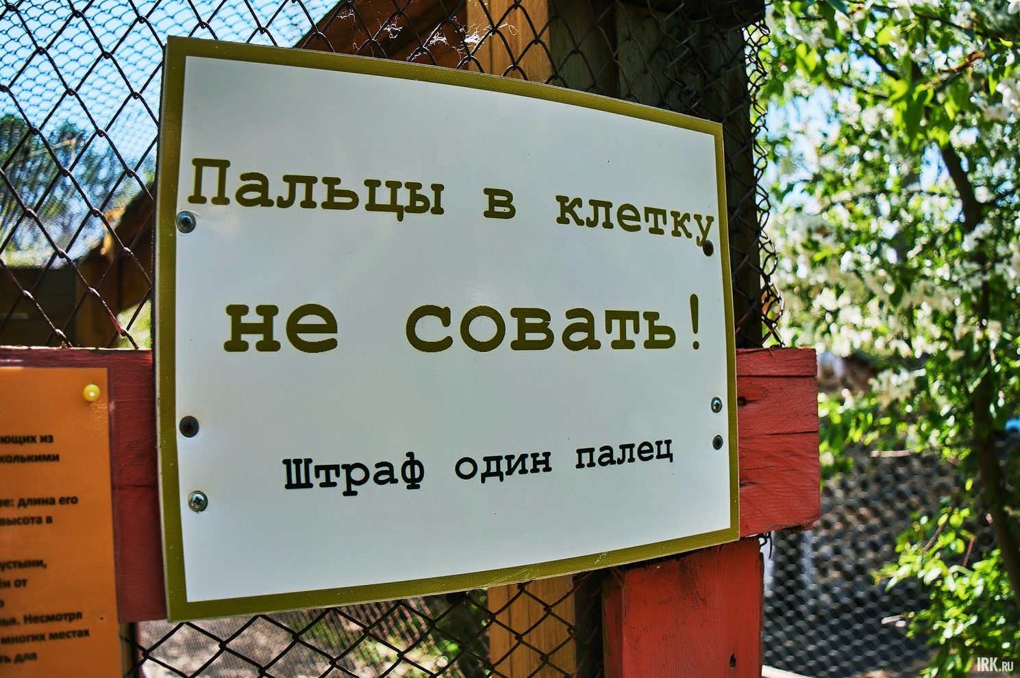 Однако на клетке висит напоминание для посетителей, что перед ними все-таки волк.