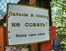 Однако на клетке висит напоминание для посетителей, что перед ними все-таки волк.