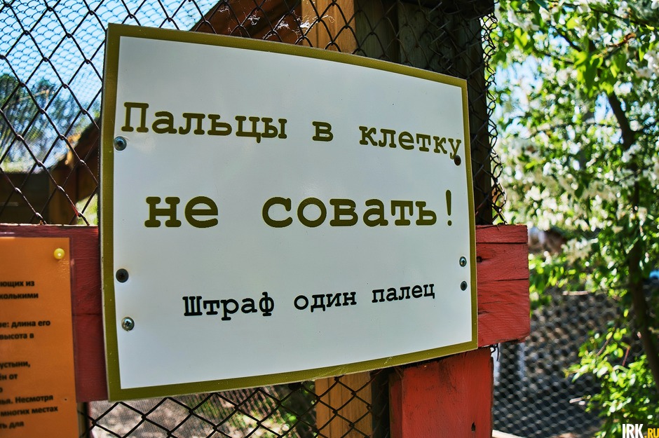 Однако на клетке висит напоминание для посетителей, что перед ними все-таки волк.