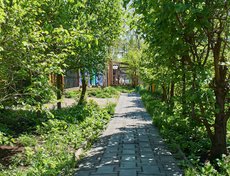 Дорожки зоогалереи начинают зарастать травой.