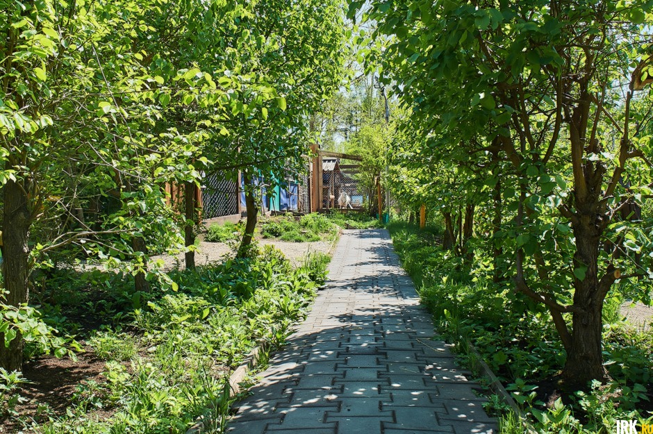 Дорожки зоогалереи начинают зарастать травой.