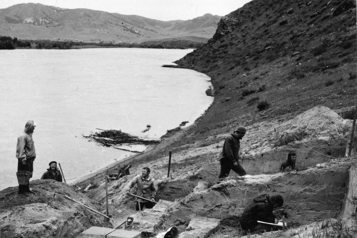 Раскопки стоянки Усть-Кяхта-3 на правом берегу Селенги, 1976 год. Фото А.П. Окладникова