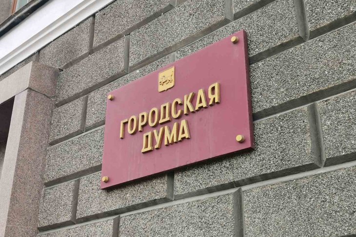 Дума Иркутска. Фото Алины Вовчек, IRK.ru