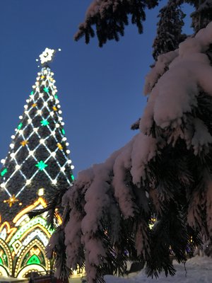 Главная новогодняя ёлка Иркутска