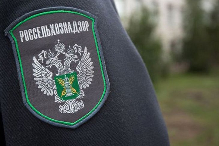 Фото с сайта news.myseldon.com