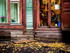 Осень 2017 года. Автор фото — Зарина Весна
