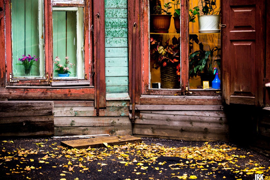 Осень 2017 года. Автор фото — Зарина Весна
