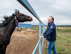 В конно-спортивном комплексе деревни Черемушки