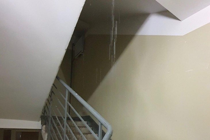 Фото жильцов дома на Депутатской