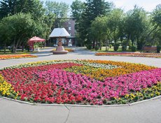 Клумба на бульваре Гагарина.
