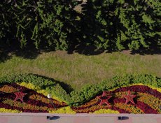 Клумба у мемориала «Вечный огонь». Фото Романа Малиновича