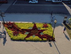 Клумба в сквере на пересечении улиц Ленина и Горького. Фото Романа Малиновича
