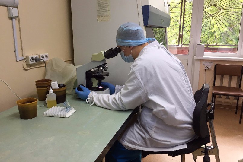 Врач-бактериолог Александр Носков исследует под микроскопом мазки