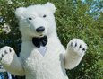 Учеников школы № 19 встречал большой белый медведь.